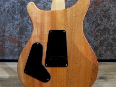 Paul Reed Smith(PRS) SE Custom 24-08 Eriza Verde