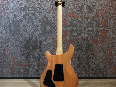 Paul Reed Smith(PRS) SE Custom 24-08 Eriza Verde