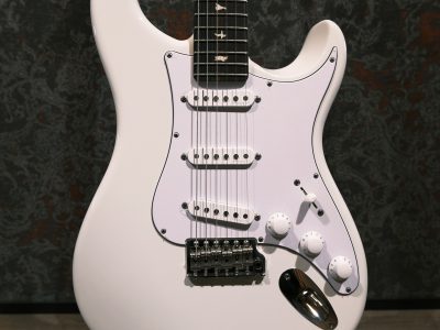 Paul Reed Smith(PRS) Silver Sky Frost