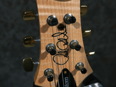 Paul Reed Smith(PRS) Custom 24 / 2016 Limited Swamp Ash