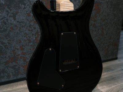 Paul Reed Smith(PRS) Custom 24 / 2016 Limited Swamp Ash