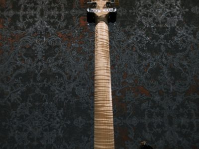 Paul Reed Smith(PRS) Custom 24 / 2016 Limited Swamp Ash