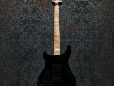 Paul Reed Smith(PRS) Custom 24 / 2016 Limited Swamp Ash