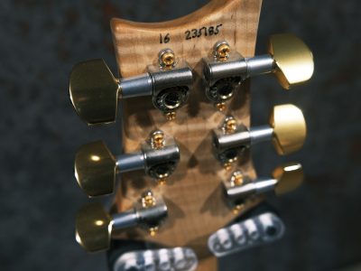 Paul Reed Smith(PRS) Custom 24 / 2016 Limited Swamp Ash