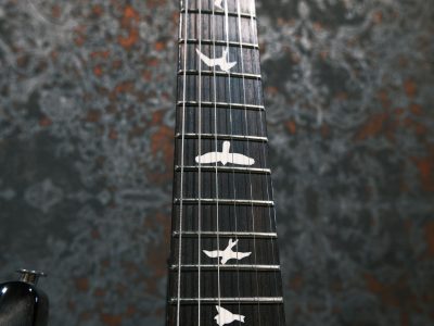 Paul Reed Smith(PRS) S2 Custom 24 Elephant Grey