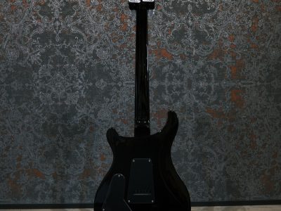 Paul Reed Smith(PRS) S2 Custom 24 Elephant Grey