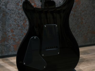 Paul Reed Smith(PRS) S2 Custom 24 Elephant Grey