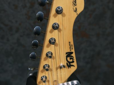 FUJIGEN(FGN) NST10RAL-OLP