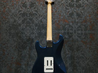 FUJIGEN(FGN) NST10RAL-OLP