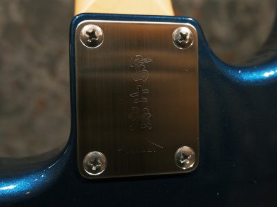 FUJIGEN(FGN) NST10RAL-OLP