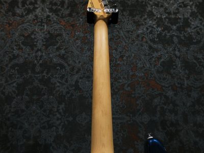 FUJIGEN(FGN) NST10RAL-OLP