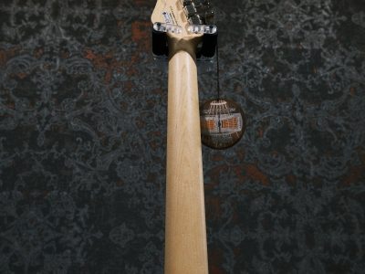 FUJIGEN(FGN) BOS2-M/CS