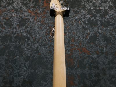FUJIGEN(FGN) JIL2-ASH-M/OWB