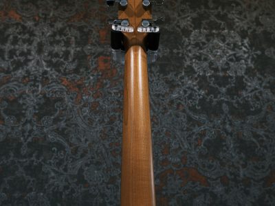 Taylor 114ce Walnut (Limited) ES2【エレアコ】 | 札幌の楽器屋