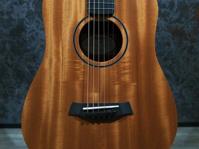 Taylor Baby Taylor Mahogany BT2 (Baby T)【ミニギター