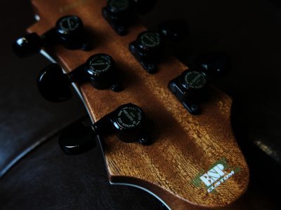 ESP Custom OrderGuitar ECLIPSE Type