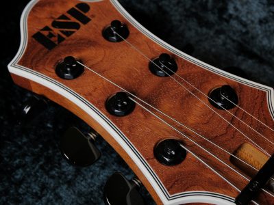 ESP Custom OrderGuitar ECLIPSE Type