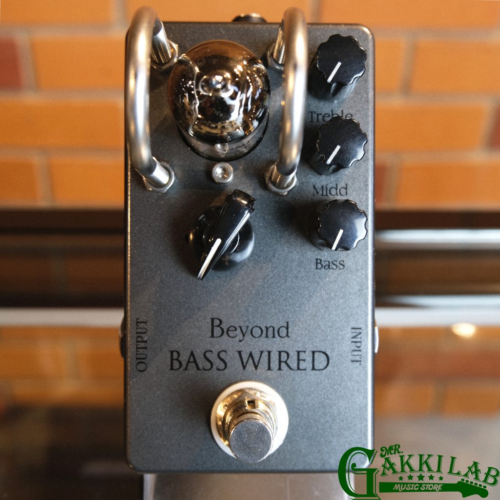 Things Beyond Bass Wired | 札幌の楽器屋さん｜MR.GAKKI LAB｜中古