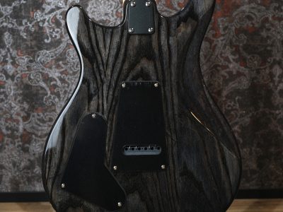 PRS Paul Reed Smith SE ASH Special