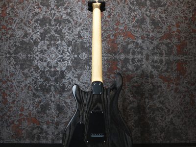 PRS Paul Reed Smith SE ASH Special