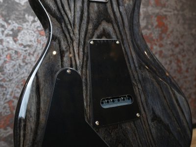 PRS Paul Reed Smith SE ASH Special