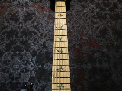 PRS Paul Reed Smith SE ASH Special