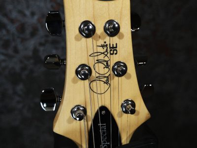 PRS Paul Reed Smith SE ASH Special