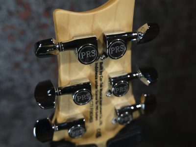 PRS Paul Reed Smith SE ASH Special