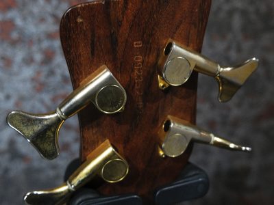 Warwick Streamer LX 4