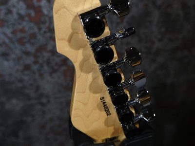ESP SNAPPER AL/R CTM Color