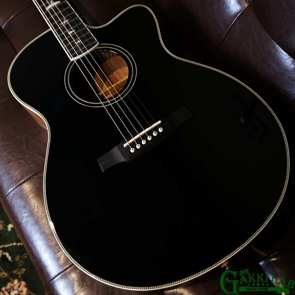 Paul Reed Smith(PRS) SE P20 Satin Black Top（新品/送料無料
