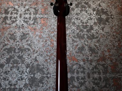 Paul Reed Smith(PRS) 10th Anniversary S2 Custom 24