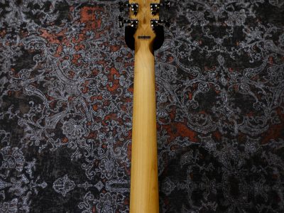 D'Angelico Premier Atlantic Sky Blue Top Mahogany Back