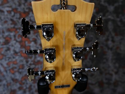 D'Angelico Premier Atlantic Sky Blue Top Mahogany Back