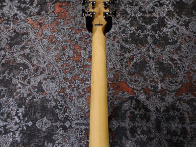 D'Angelico Premier Bedford SH Sky Blue