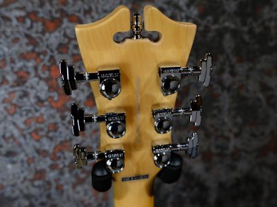D'Angelico Premier Bedford SH Sky Blue