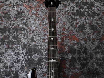 Paul Reed Smith(PRS) SE Custom 22 Semi-Hollow BG