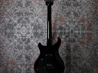 Paul Reed Smith(PRS) SE Custom 22 Semi-Hollow BG