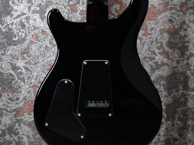 Paul Reed Smith(PRS) SE Custom 22 Semi-Hollow BG