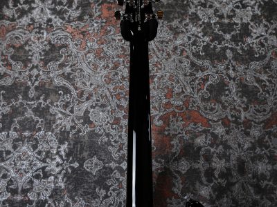 Paul Reed Smith(PRS) SE Custom 22 Semi-Hollow BG