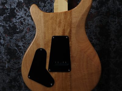 Paul Reed Smith(PRS) SE Custom 22 Semi-Hollow Santana Yellow