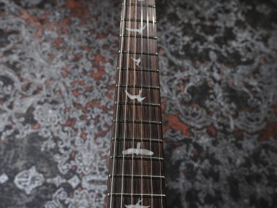 Paul Reed Smith(PRS) SE Custom 24 Blue Matteo