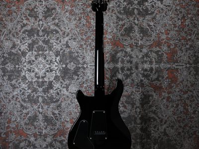 Paul Reed Smith(PRS) SE Custom 24 Blue Matteo