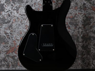 Paul Reed Smith(PRS) SE Custom 24 Blue Matteo