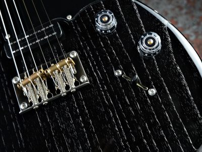 Paul Reed Smith(PRS) NF53 Black Doghair