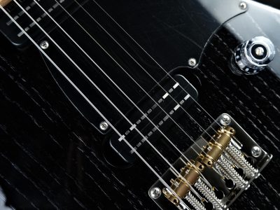 Paul Reed Smith(PRS) NF53 Black Doghair