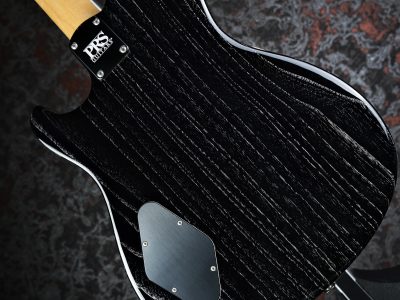 Paul Reed Smith(PRS) NF53 Black Doghair