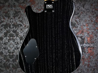 ギター Paul Reed Smith NF 53 BlackDoghair Paul Reed Smith PRS NF53 6 String Electric Guitar Black Dog