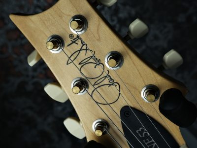 Paul Reed Smith(PRS) NF53 Black Doghair