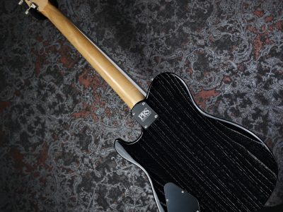 Paul Reed Smith(PRS) NF53 Black Doghair